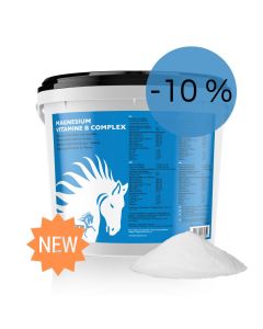 Magnesio vitamina B complesso cavallo