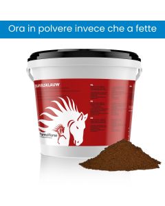 Artiglio Del Diavolo cavallo