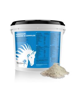 Magnesio vitamina B complesso cavallo