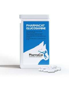 Glucosamina gatto
