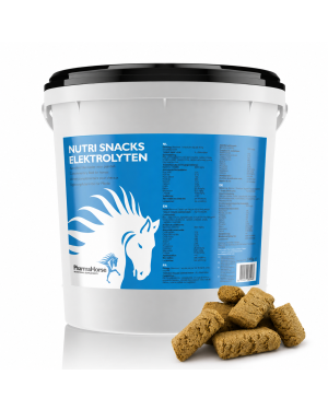 Nutri Snacks Elettroliti