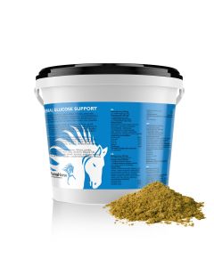 Erbe Glucose Support