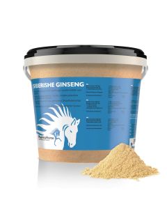 Ginseng siberiano cavallo 