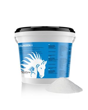 Collagene+ cavallo