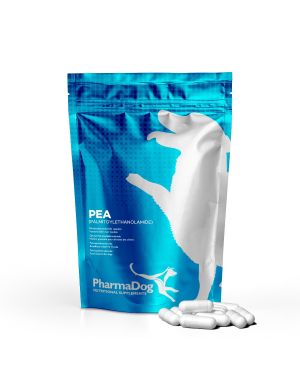 PEA (palmitoiletanolamide) cane