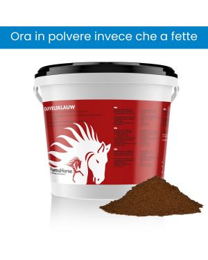 Artiglio Del Diavolo cavallo