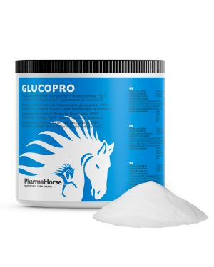 Glucopro cavallo 