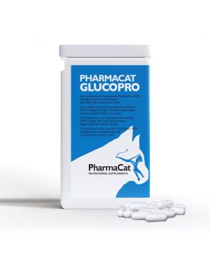 Glucopro gatto