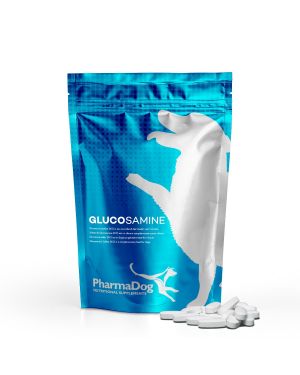 Glucosamina cane