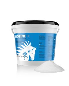 Biotina+ cavallo